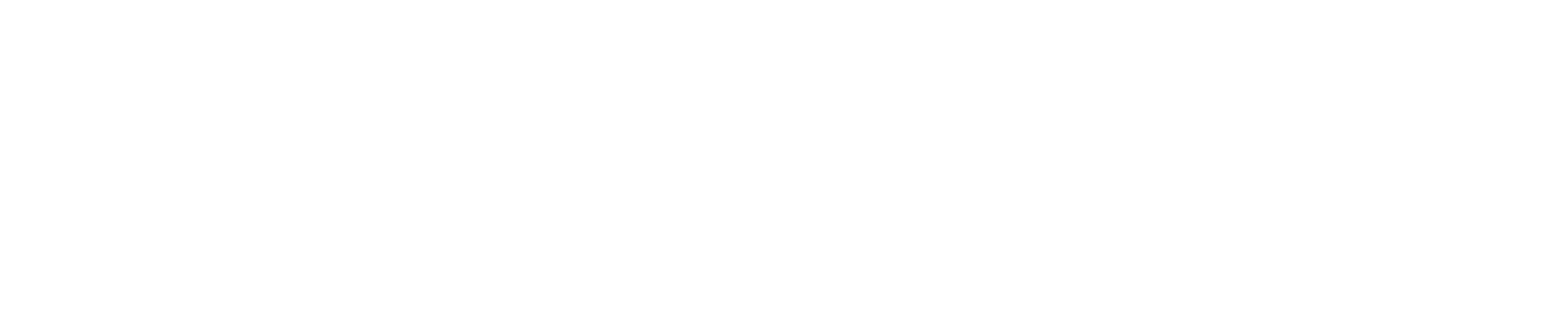 Strongvox Homes logo